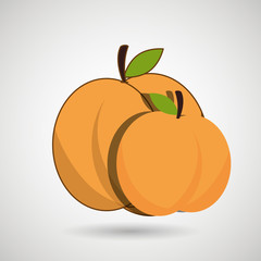 healthy food  design 