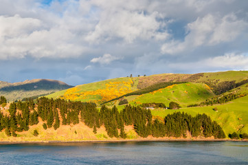 New Zealand Otago Region scenic coastline landscape