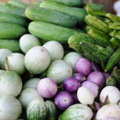 Many vegetables for background.