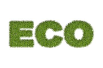 Wort Eco auf weissem Hintergrund