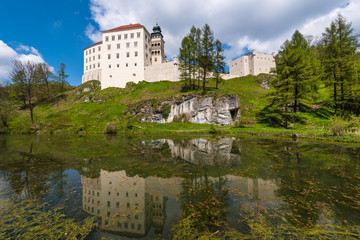 Fototapeta na wymiar Castle Pieskowa Skala near Krakow, Poland