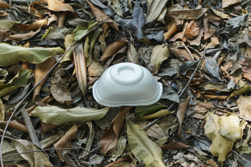 White foam bowl is waste in the forest.