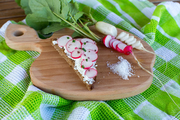 Fresh radishes and green onion and bread on the wood plate, summer photo.