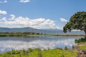 View on huge Ngorongoro caldera (extinct volcano crater) from within with lake before mountain ridge against blue sky background. Great Rift Valley, Tanzania, East Africa.
