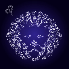 Zodiac sign of leo made of stars