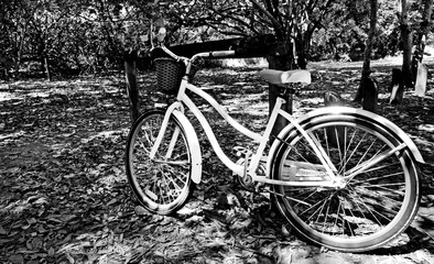 White bicycle