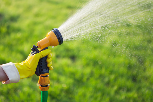 Hand With Garden Hose Watering Plants