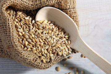 pearl barley on a wooden spoon in a pouch made on a white wooden table
