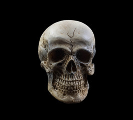 human skull on isolated black background