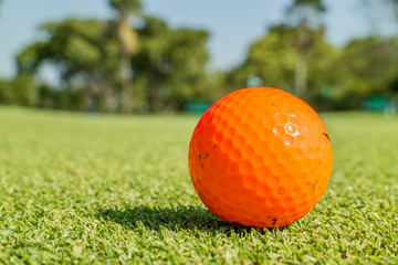 Close up the dirt golf ball on grass with blurred green golf cou
