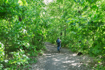Obraz premium Footpath