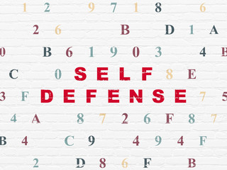 Privacy concept: Self Defense on wall background