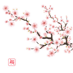 Realistic sakura blooming flowers. EPS 10 - 110481368