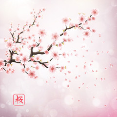 Pink sakura flowers isolated on white. EPS 10 - 110481384