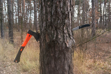 Axe and knife stick in the tree trunk