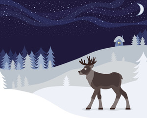 winter night and reindeer