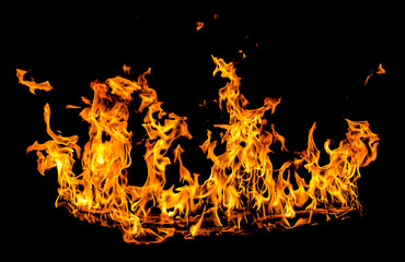 Fire flame on black background.