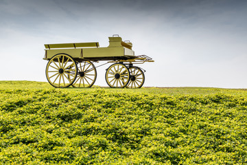 Fototapeta na wymiar A uncovered wagon retro style in beautiful nature scene farmland