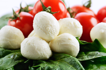 mozzarella cheese balls, ripe cherry tomatoes and greens on the