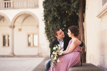Happy wedding couple, groom, bride with pink dress hugging and smiling each other on the background walls in castle