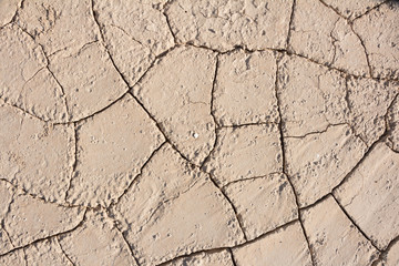 cracked Dead Sea bottom