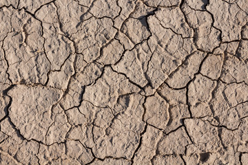 cracked Dead Sea bottom