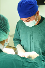 two veterinarian surgeons in operating room