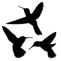 hummingbird silhouette set