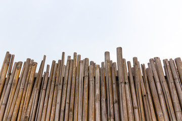 Bamboo Wall