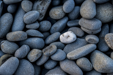 Sea pebble / sea stones background, with a single white pebble isolated