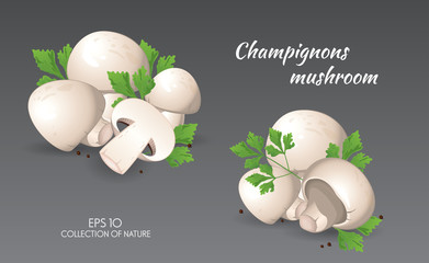 Mushroom. Champignons