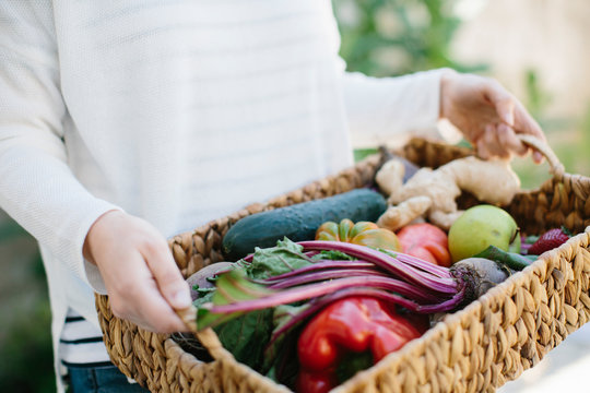 Fototapeta Woman holding a basket of vegetables