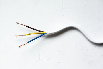 Electric screened cable with many wires isolated on white