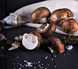 Fresh mushrooms with spices and herbs on a black board.Champignon mushrooms