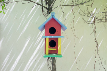 colorful bird house with sunlight