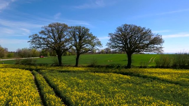 Luftaufnahme 4k UHD - Fehmarn 02