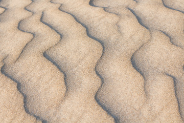 sand dune close up
