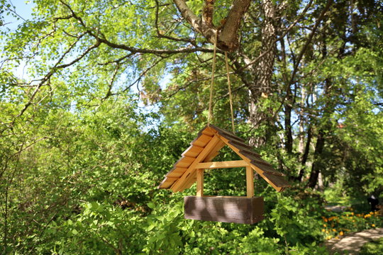 Wooden bird feeder hanging on a bough in the green summer park