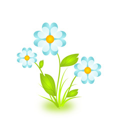 Flower illustration isolated