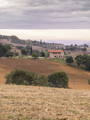Fototapeta premium view of fields in tuscany