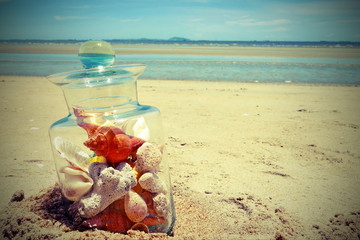Seashells in a jar on the beach