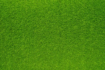 Plakat Artificial grass