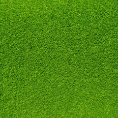 Artificial grass