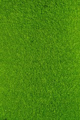 Plakat Artificial grass