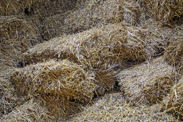 Straw in barn