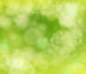 Blurred tree background / texture. Bokeh lights - obrazy, fototapety, plakaty