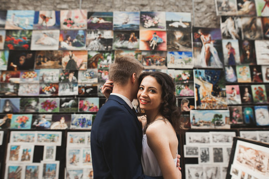 Gorgeous wedding couple, bride, groom kissing and hugging against the background of paintings