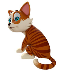 fun cat funny cartoon character