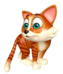 fun cat funny cartoon character