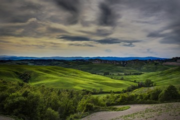 a Siena HIlls